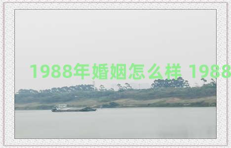 1988年婚姻怎么样 1988年的婚姻